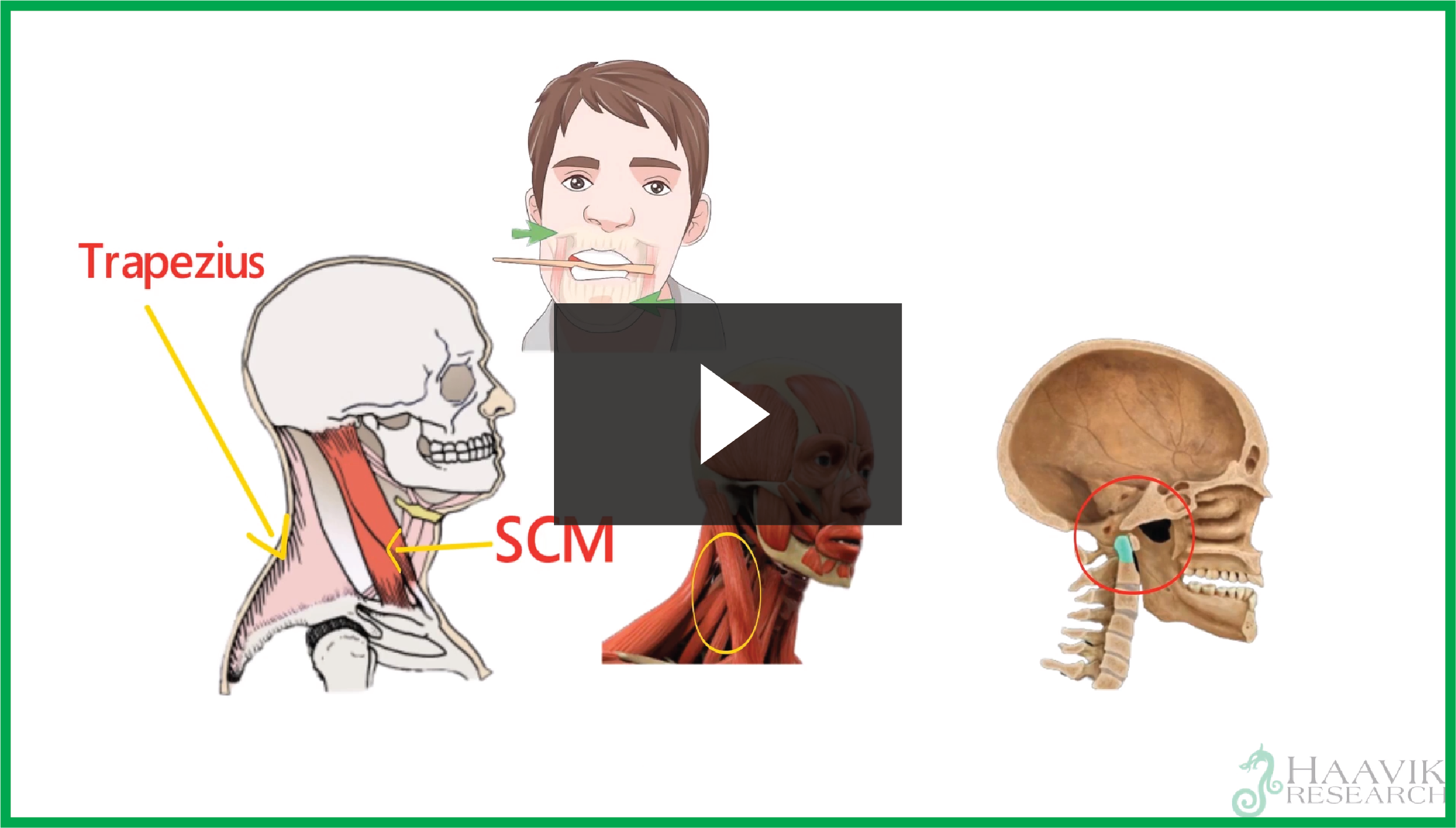 Take a look at this animation which explains how an study showed that the way your spine works influences the function of your jaw.