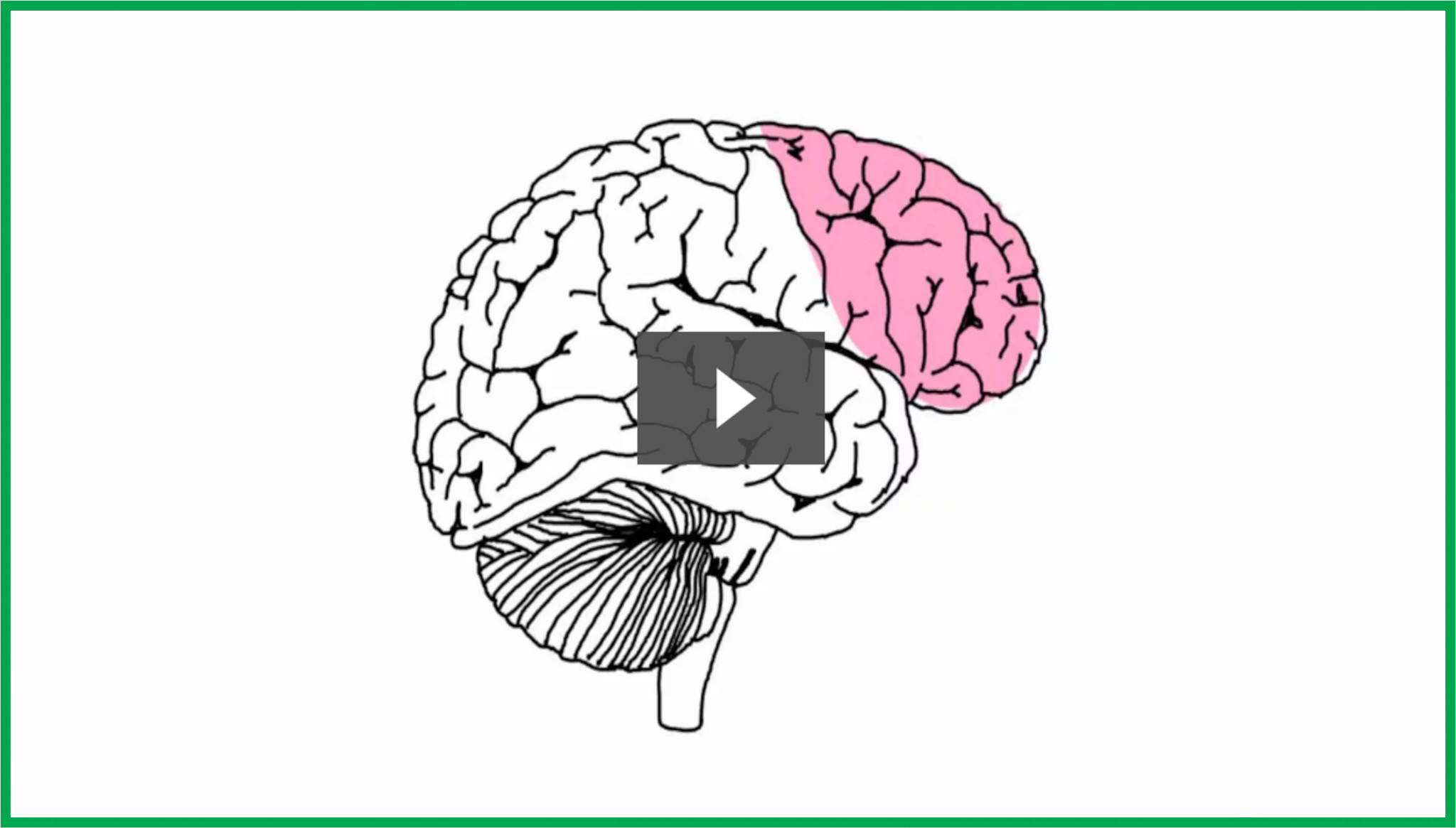 Chiropractic & the Prefrontal Cortex video